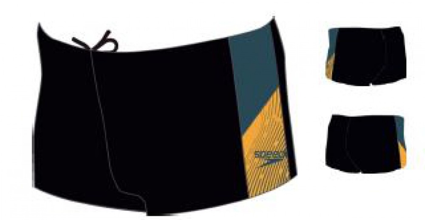 SPEEDO Mens Dive Aquashort - Herren