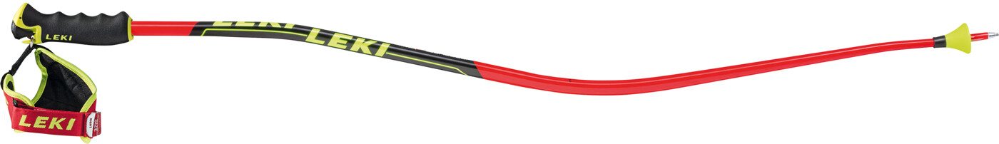 LEKI Super G / Downhill